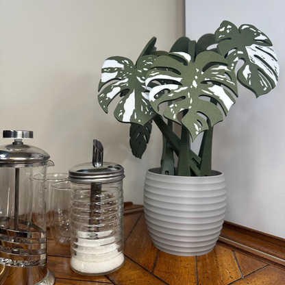 Monstera Plant Coaster