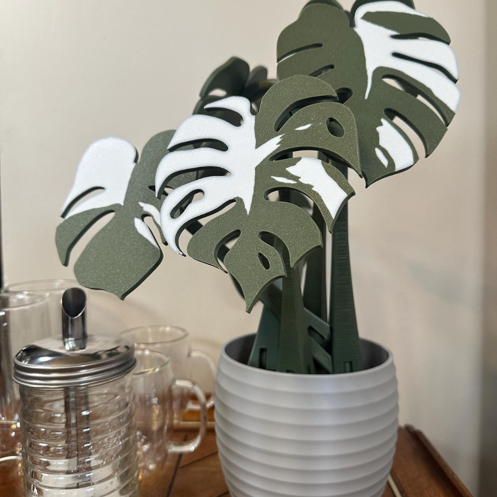 Monstera Plant Coaster
