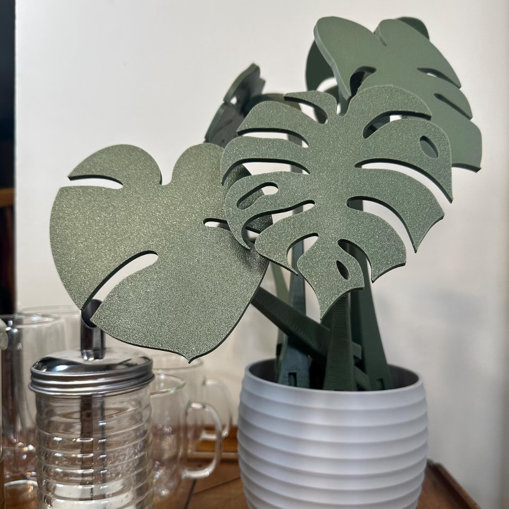 Monstera Plant Coaster