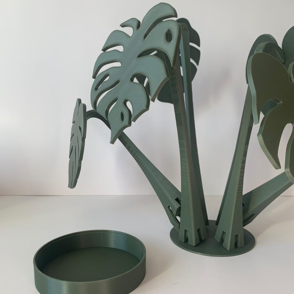 Monstera Plant Coaster