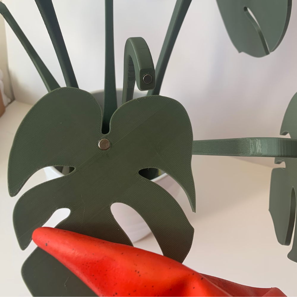 Monstera Plant Coaster