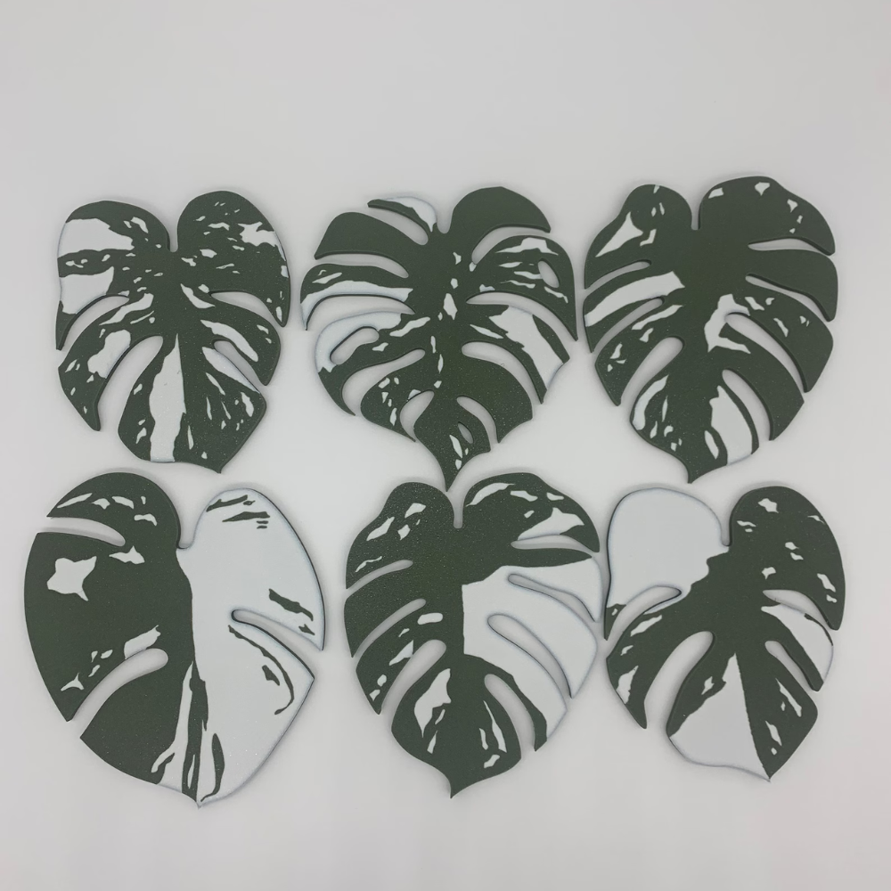 Monstera Plant Coaster